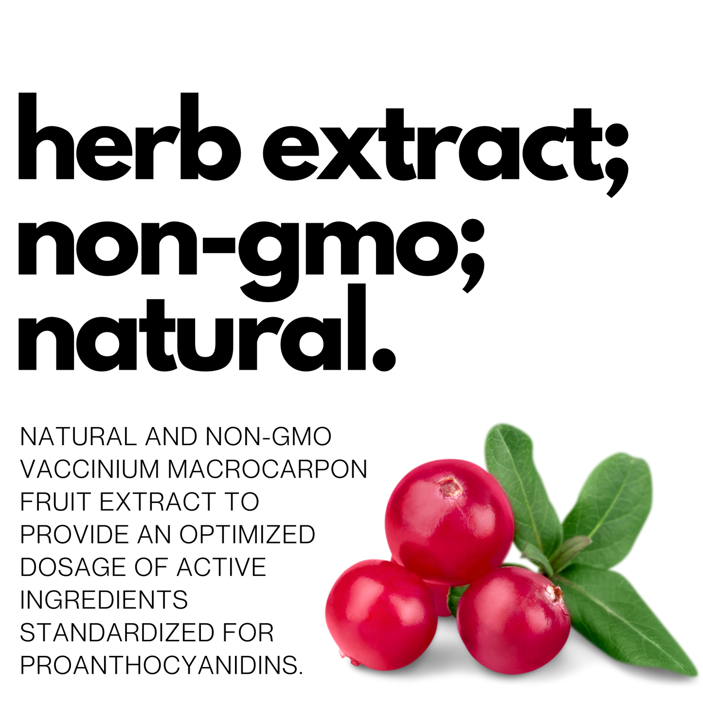 Cranberry Extract 25%