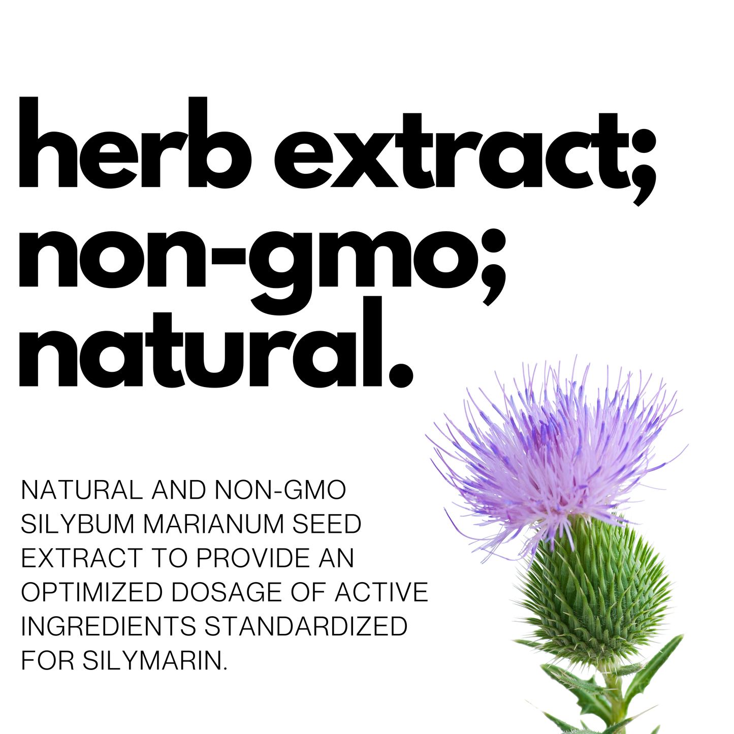Milk Thistle Non-GMO