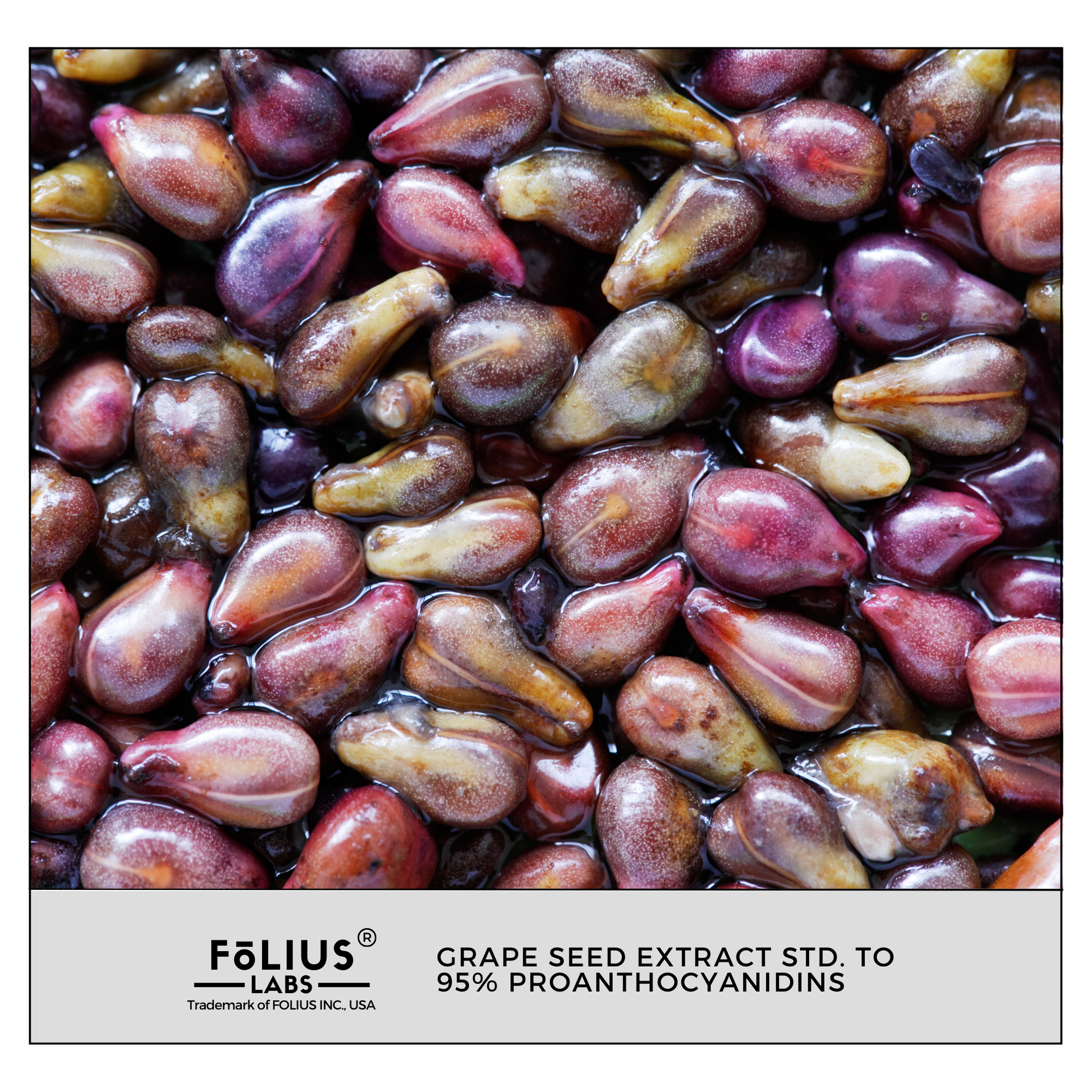 Grape Seeds