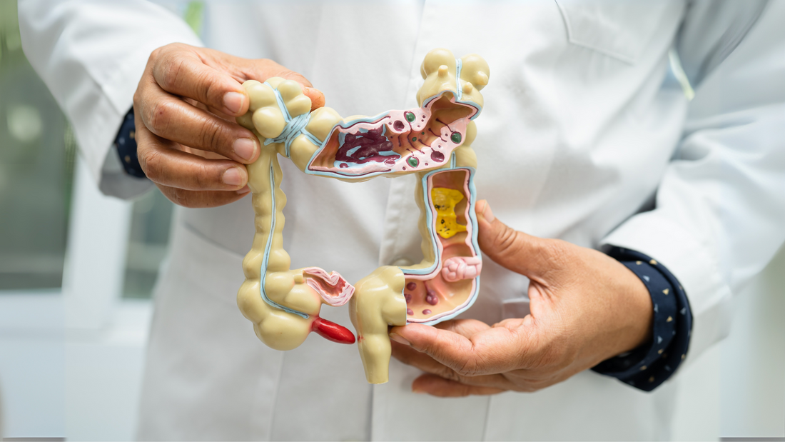 Berberine and GLP-1: A Natural Pathway to Metabolic Wellness