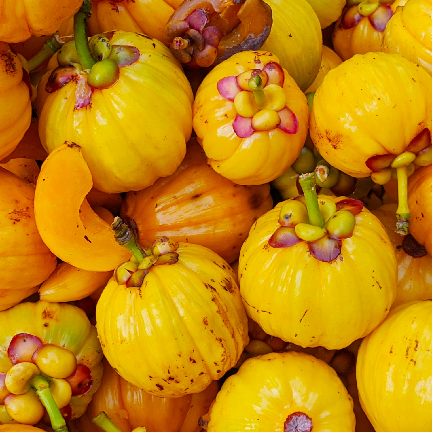 Garcinia Cambogia Fruits